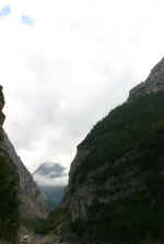 ferrari_141.jpg (87054 octets)