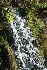 ferrari_0793.jpg (363981 octets)